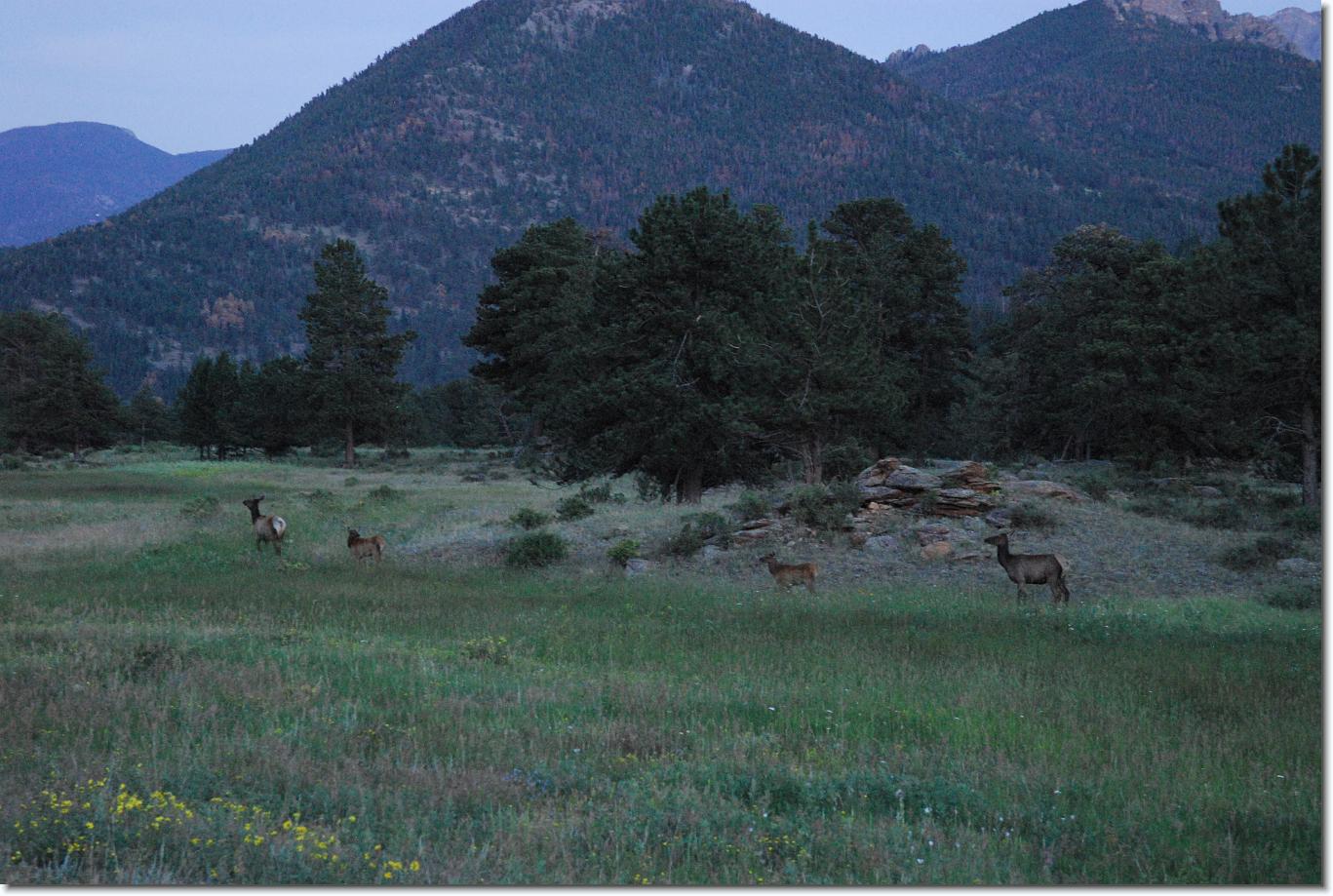 You have reached the last slide