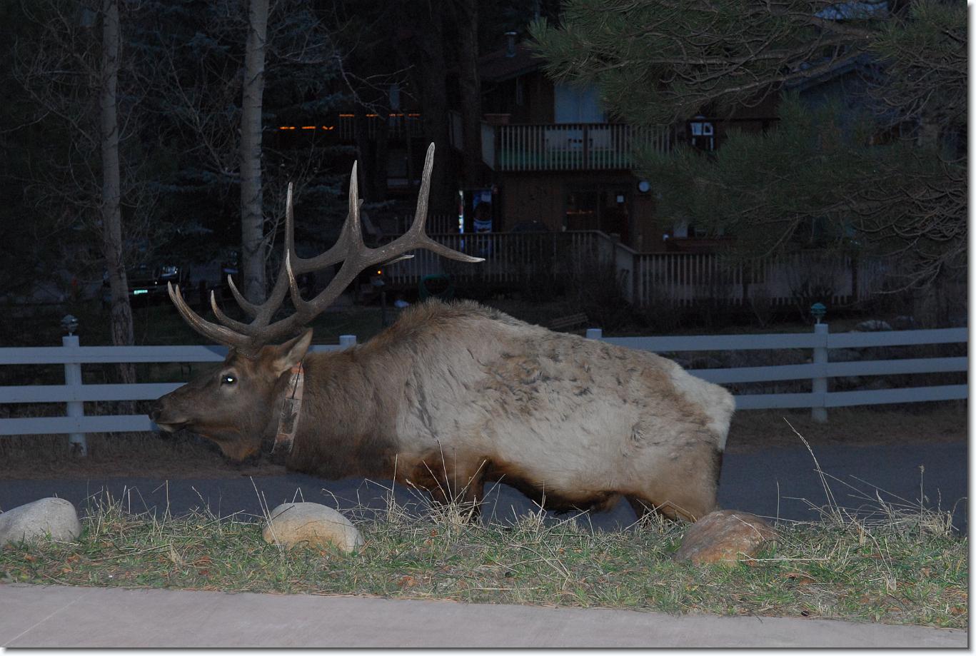 You have reached the last slide