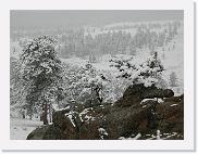 DSCN5862 * 2048 x 1536 * (973KB)