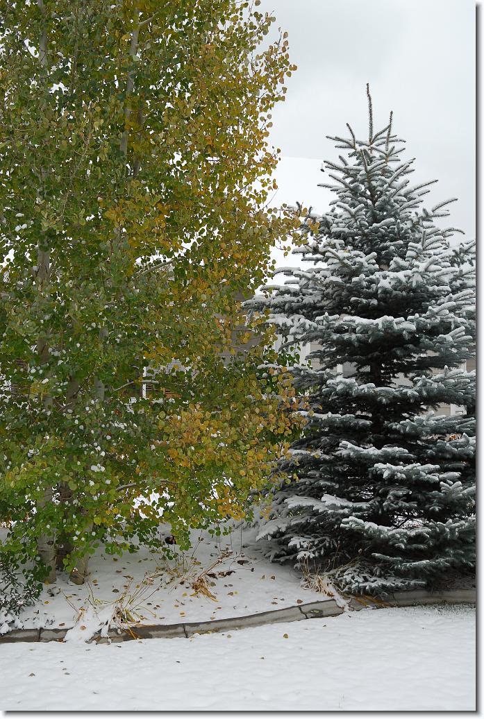 You have reached the last slide