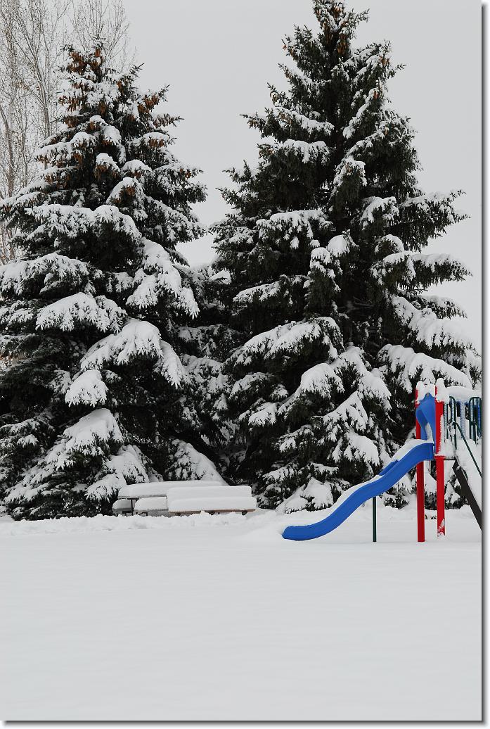 You have reached the last slide