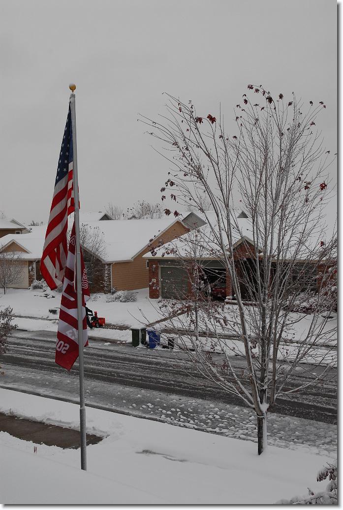 You have reached the last slide