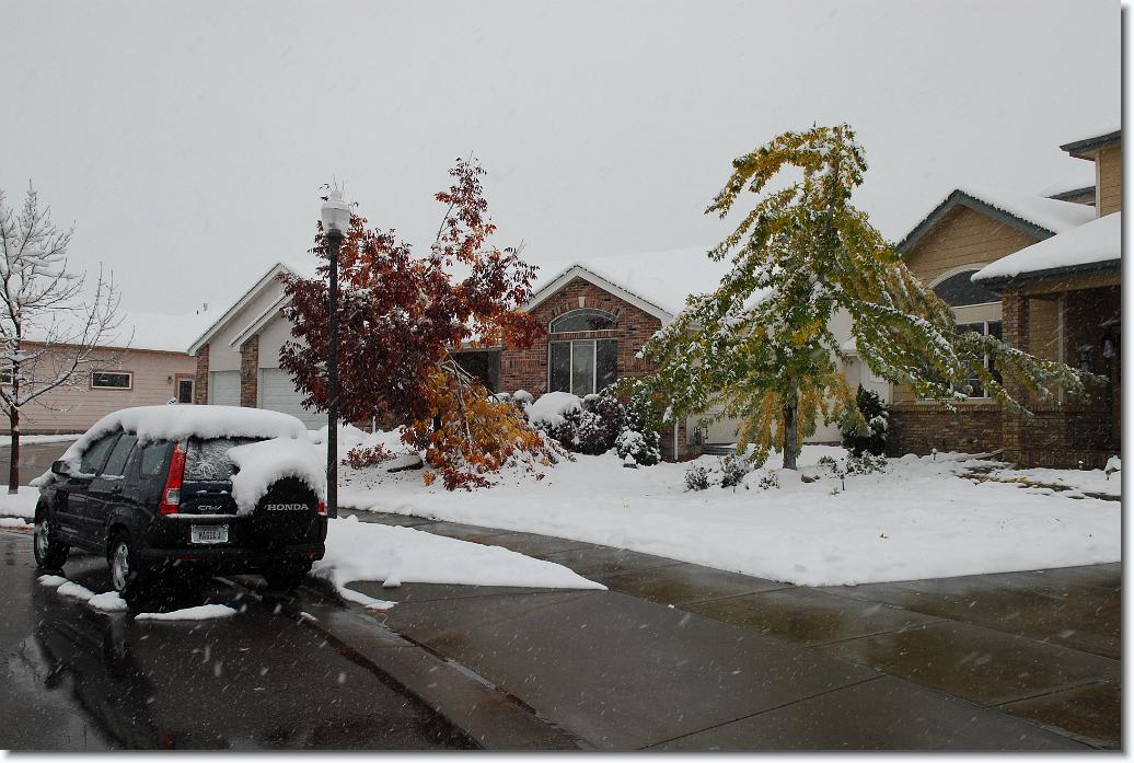 You have reached the last slide