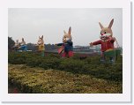 IMG_1943 * 3648 x 2736 * (2.5MB)