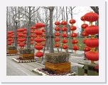 IMG_1959 * 3648 x 2736 * (3.24MB)