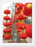 IMG_1960 * 3648 x 2736 * (2.71MB)
