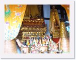 IMG_2003 * 3648 x 2736 * (2.67MB)