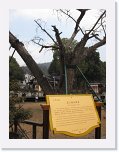 IMG_2007 * 3648 x 2736 * (2.59MB)