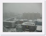 IMG_1643 * 3648 x 2736 * (1.79MB)