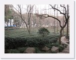 IMG_1820 * 3648 x 2736 * (3.73MB)