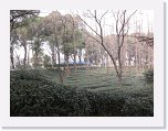 IMG_1821 * 3648 x 2736 * (3.93MB)