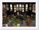 IMG_1884 * 3648 x 2736 * (2.92MB)